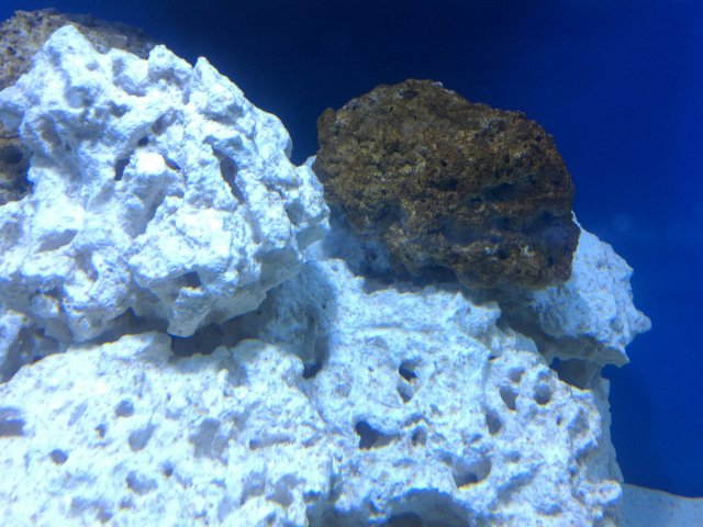 2013-07-15_20-21-58_907.jpg