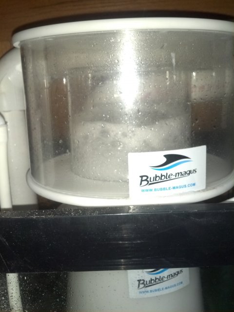 2013-07-17_11-17-33_272.jpg