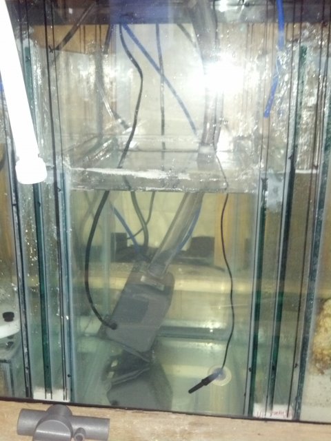 2013-07-17_11-17-46_150.jpg