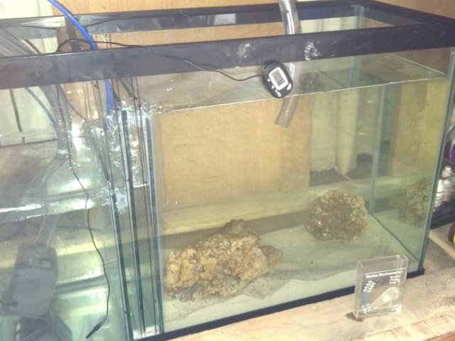 2013-07-17_11-18-00_765.jpg