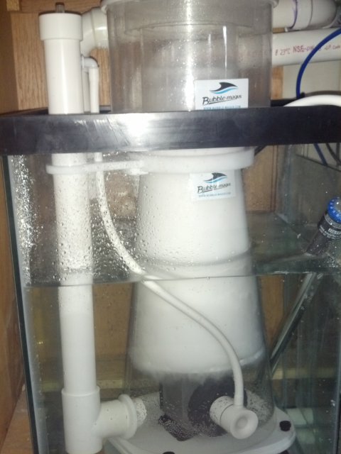 2013-07-17_11-17-25_452.jpg