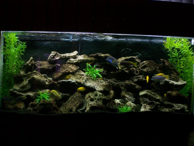 100_4950.JPG 100_4950.JPG