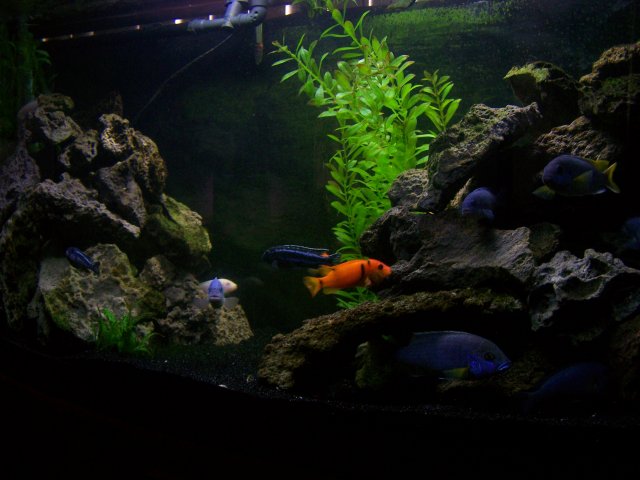 100_3338.JPG 100_3338.JPG