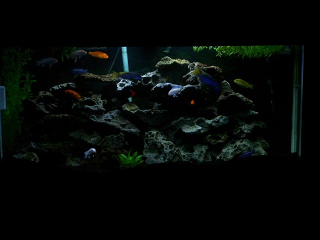 100_2423.JPG 100_2423.JPG