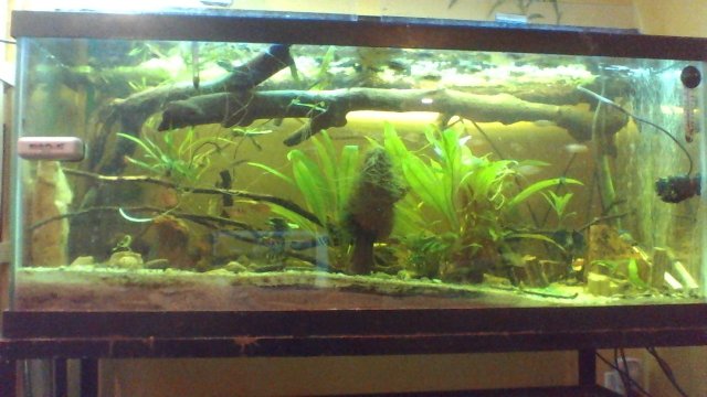 130727-170937.jpg 130727-170937.jpg