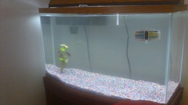 102_0021.JPG