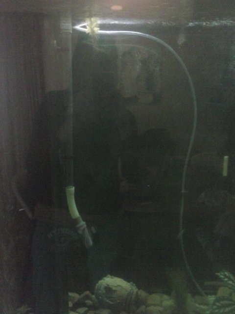 CAM00265.jpg