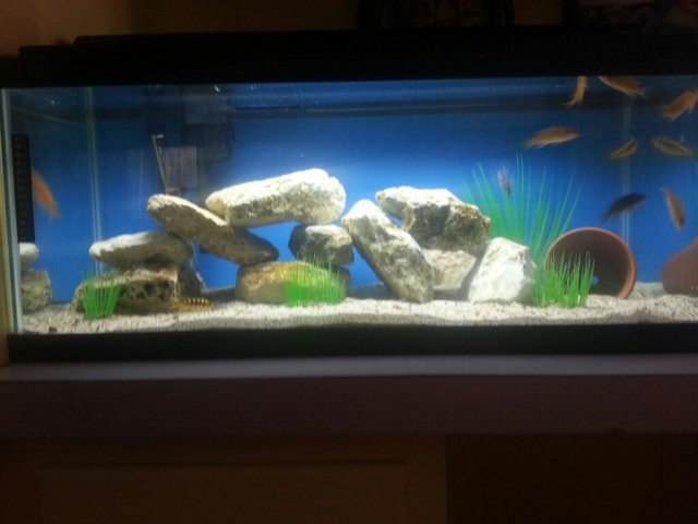 uploadfromtaptalk1375901661398.jpg uploadfromtaptalk1375901661398.jpg