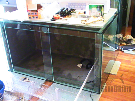 piranha tank15.jpg piranha tank15.jpg