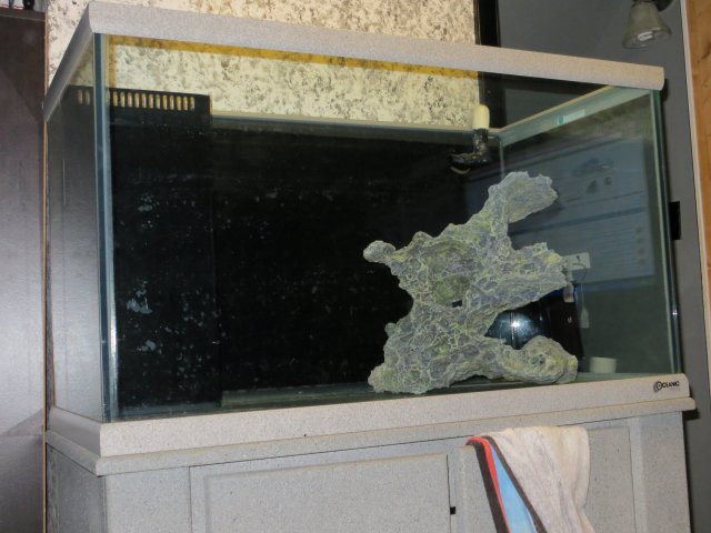 IMG_0085.JPG