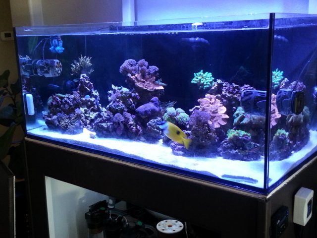 20130817_141059.jpg
