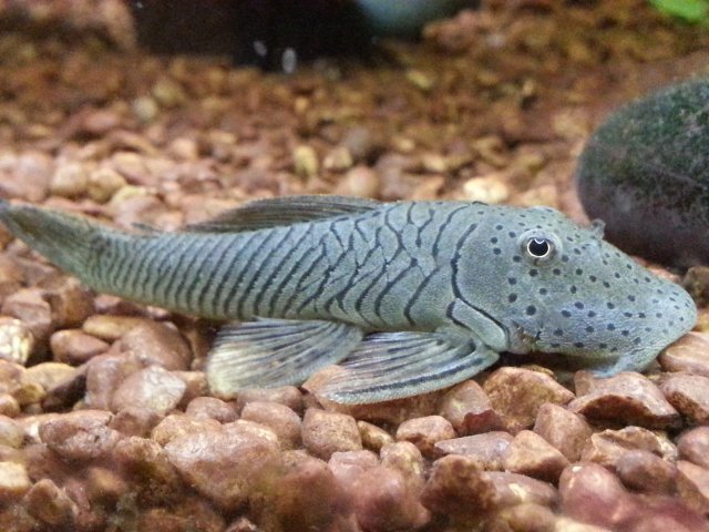 2013-08-29 01.13.34.jpg