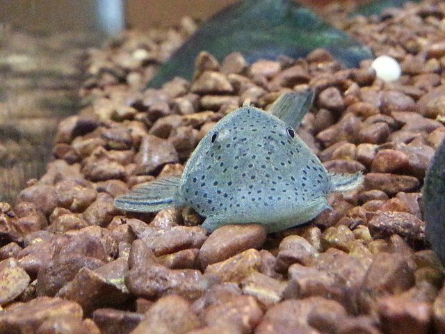 2013-08-29 01.13.58.jpg