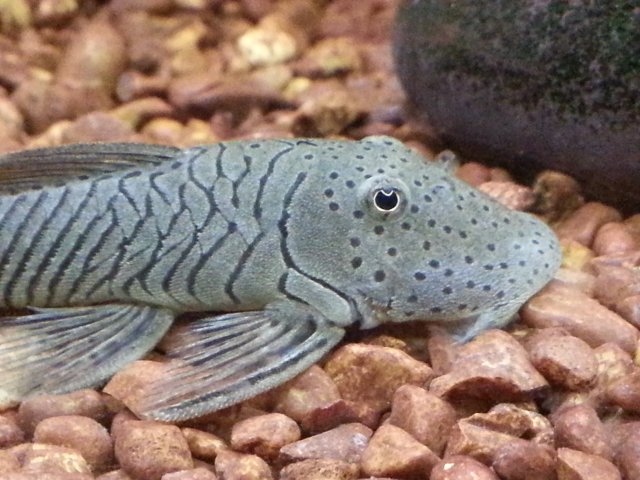 2013-08-29 01.14.07.jpg