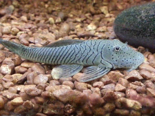 2013-08-29 01.14.14.jpg