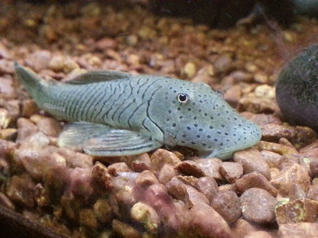 2013-08-29 01.14.27.jpg