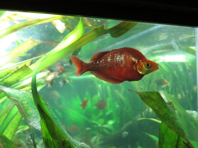 IMG_0011.JPG IMG_0011.JPG