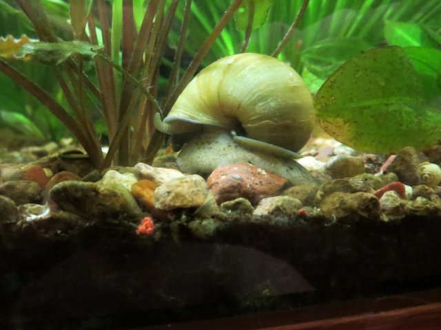 IMG_0026.JPG IMG_0026.JPG