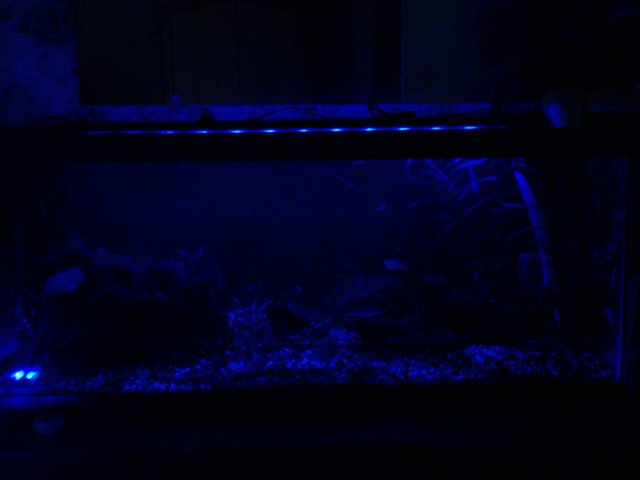 0912131854.jpg