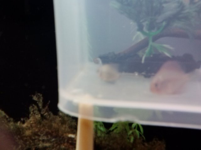 0920131441b.jpg