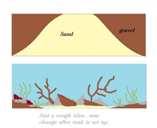 55tank ideas.jpg