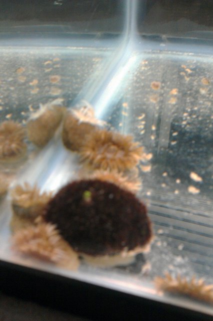 IMAG0063.jpg IMAG0063.jpg