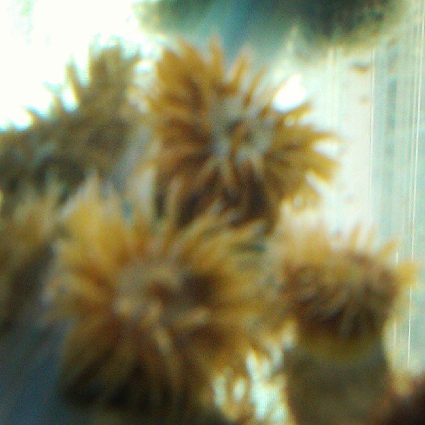1384120_571352702901079_2030941968_n.jpg