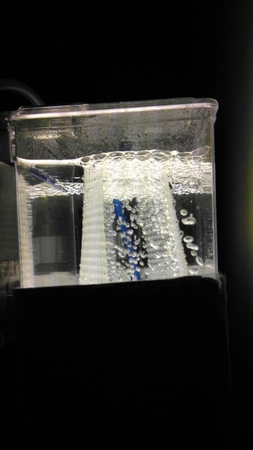 IMAG0966.jpg IMAG0966.jpg