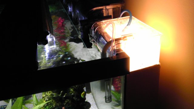 IMAG0967.jpg IMAG0967.jpg