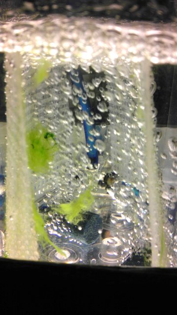 IMAG0968.jpg IMAG0968.jpg