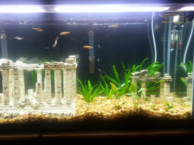 20131001_225739.jpg