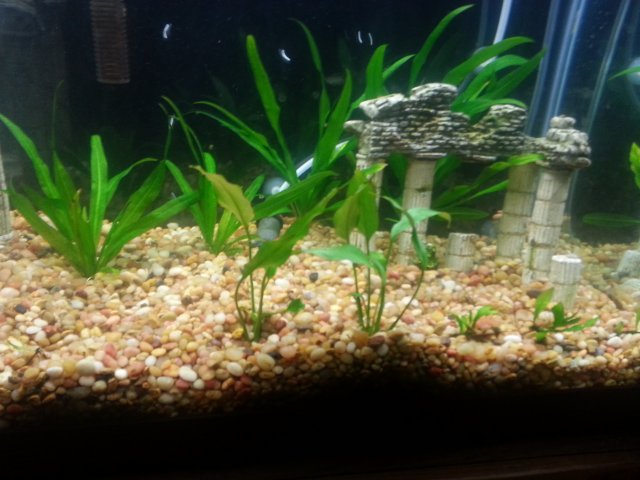 20131001_225747.jpg
