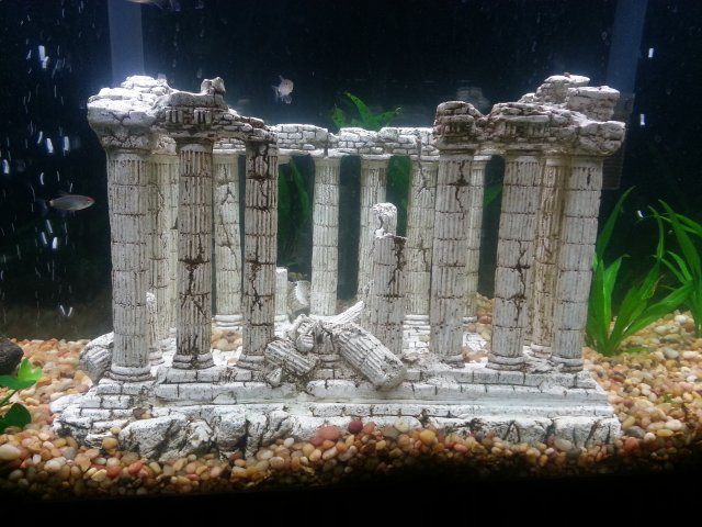 20131001_225809.jpg