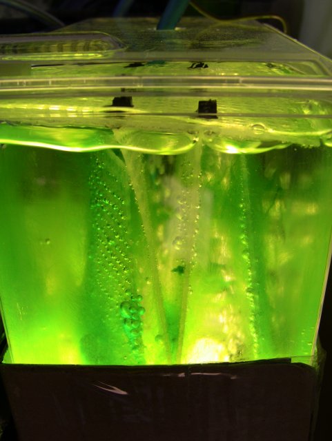 IMG_1465.JPG IMG_1465.JPG