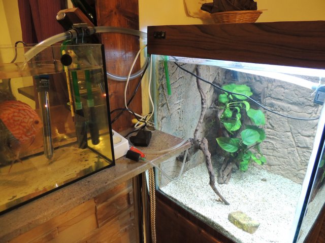 DSCN0733.JPG DSCN0733.JPG