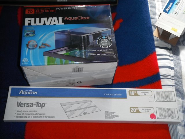 DSCF0805.JPG