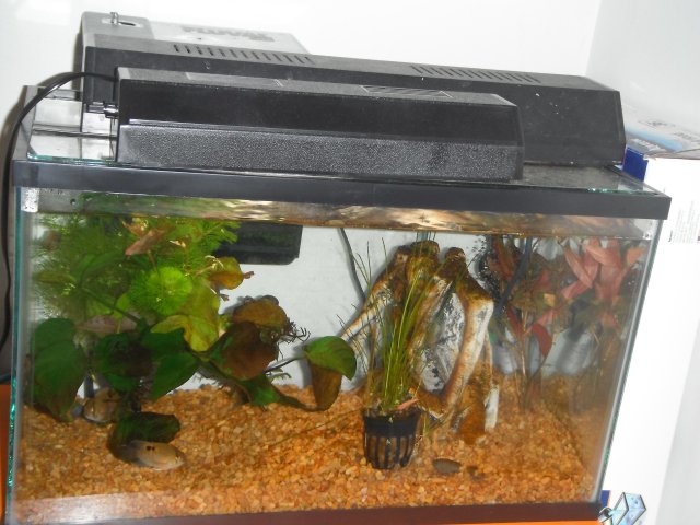 DSCF0808.JPG