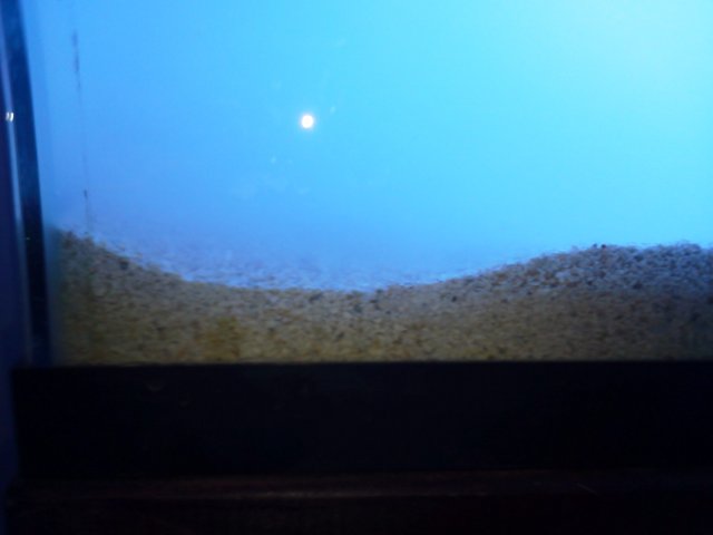 IMG_20131023_205551.jpg
