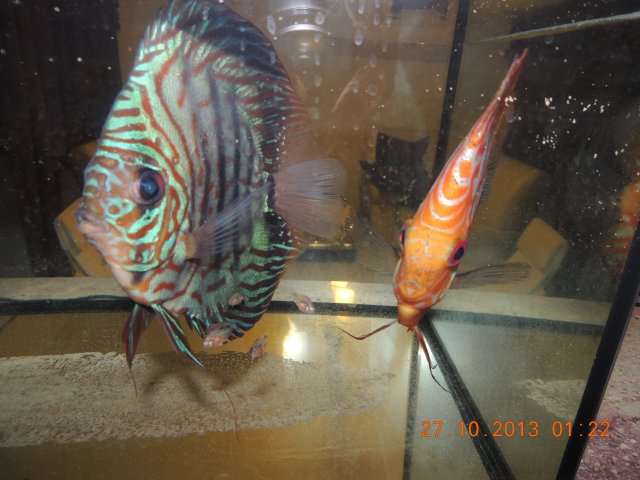DSCN0760.JPG