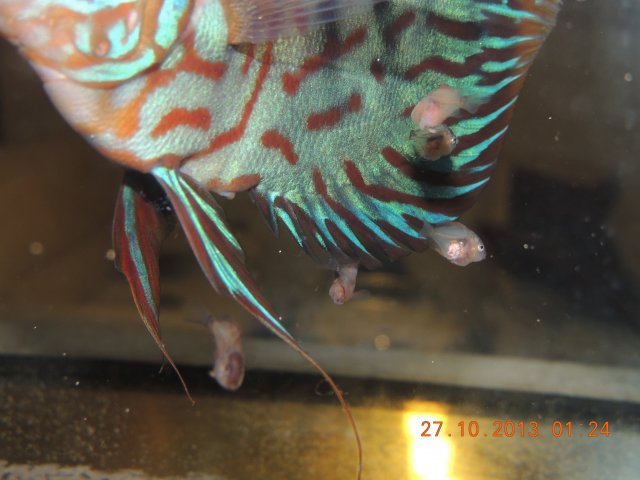 DSCN0762.JPG