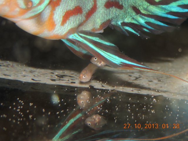DSCN0764.JPG