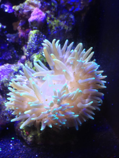 2013-10-27 16.56.34.jpg