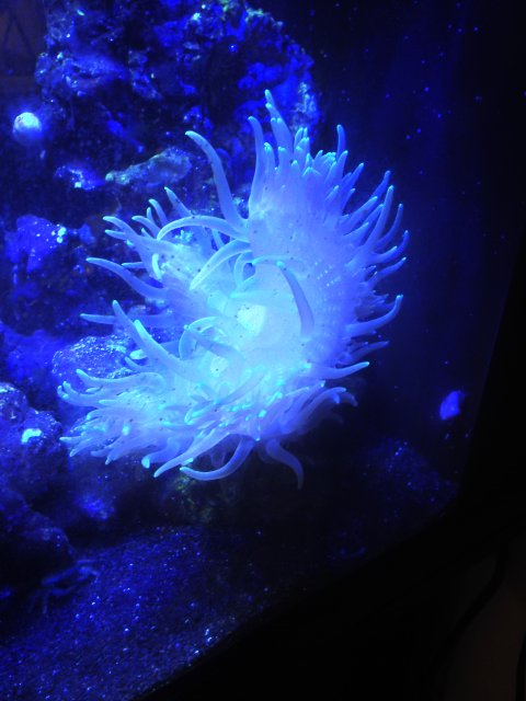 2013-10-29 19.01.06.jpg
