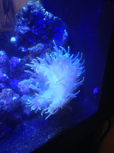 2013-10-29 19.01.16.jpg