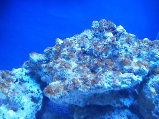 IMG_20131101_200829.jpg