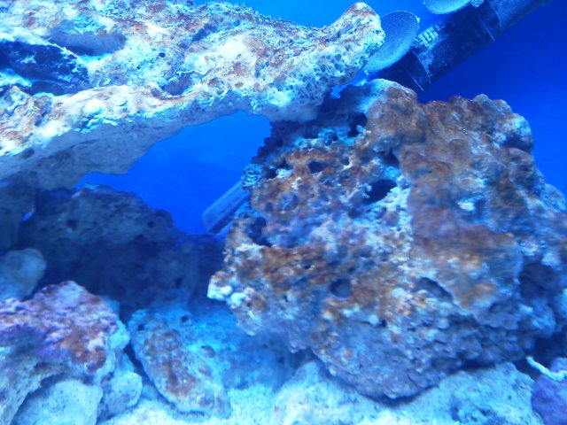 IMG_20131101_200821.jpg