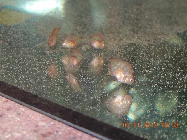 DSCN0765.JPG