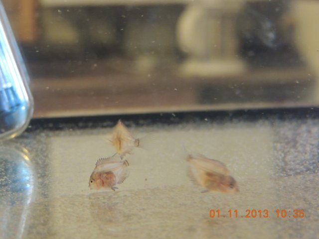 DSCN0767.JPG