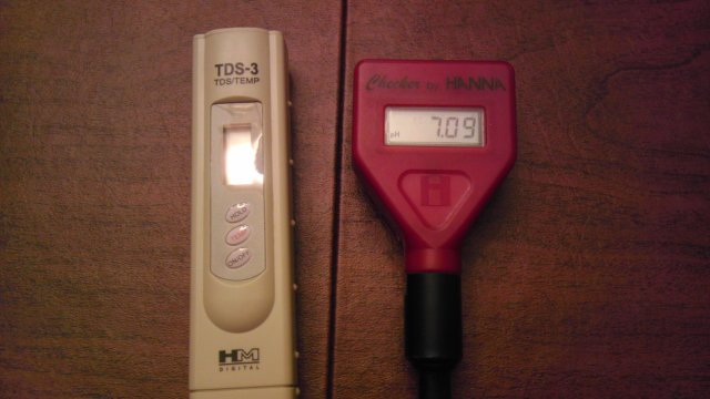 IMAG1006.jpg
