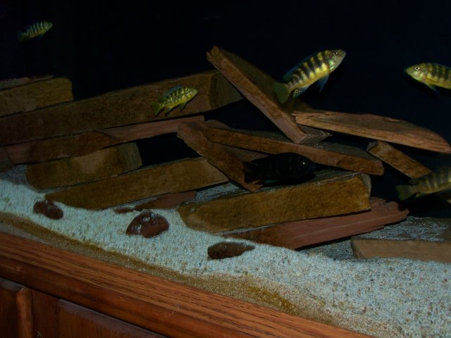 100_3988.JPG